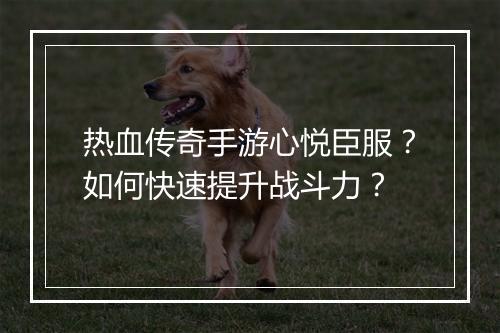 热血传奇手游心悦臣服？如何快速提升战斗力？