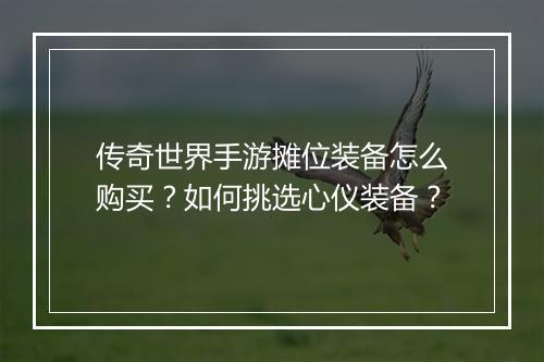 传奇世界手游摊位装备怎么购买？如何挑选心仪装备？