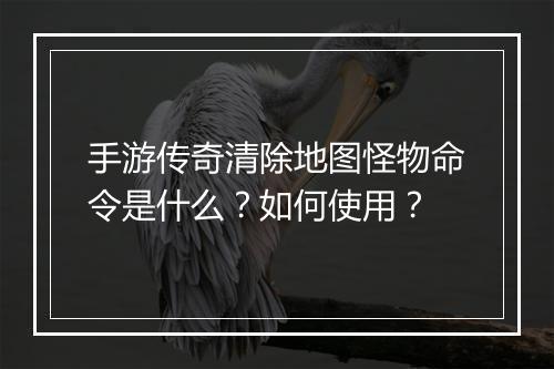手游传奇清除地图怪物命令是什么？如何使用？