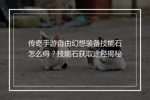 传奇手游自由幻想装备技能石怎么得？技能石获取途径揭秘