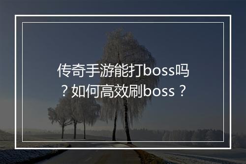 传奇手游能打boss吗？如何高效刷boss？