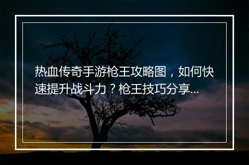 热血传奇手游枪王攻略图，如何快速提升战斗力？枪王技巧分享！