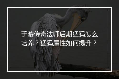 手游传奇法师后期猛犸怎么培养？猛犸属性如何提升？