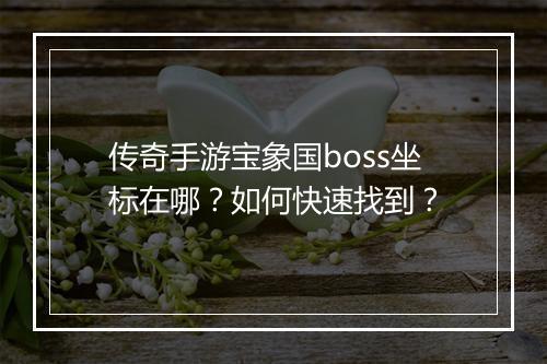 传奇手游宝象国boss坐标在哪？如何快速找到？