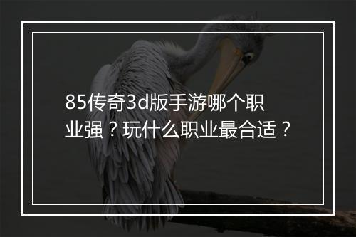 85传奇3d版手游哪个职业强？玩什么职业最合适？