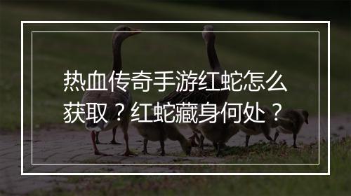 热血传奇手游红蛇怎么获取？红蛇藏身何处？