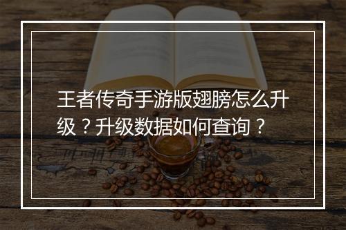 王者传奇手游版翅膀怎么升级？升级数据如何查询？