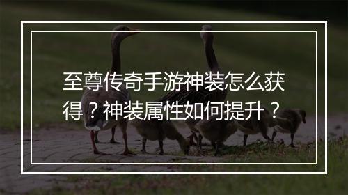 至尊传奇手游神装怎么获得？神装属性如何提升？