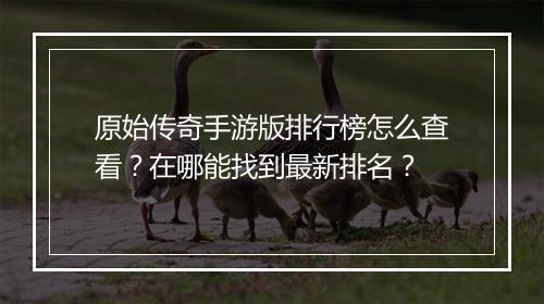 原始传奇手游版排行榜怎么查看？在哪能找到最新排名？
