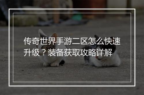 传奇世界手游二区怎么快速升级？装备获取攻略详解