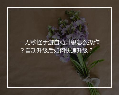 一刀秒怪手游自动升级怎么操作？自动升级后如何快速升级？
