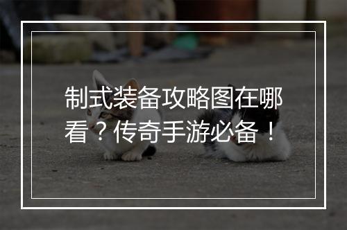 制式装备攻略图在哪看？传奇手游必备！