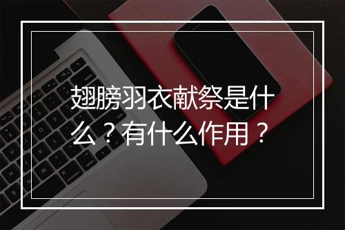 翅膀羽衣献祭是什么？有什么作用？