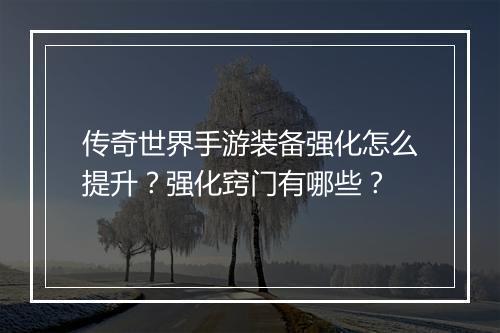 传奇世界手游装备强化怎么提升？强化窍门有哪些？