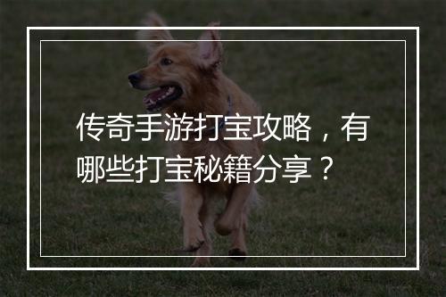 传奇手游打宝攻略，有哪些打宝秘籍分享？