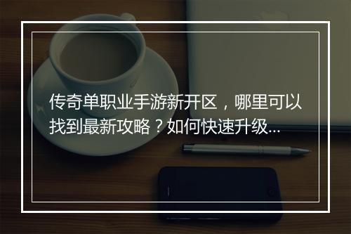 传奇单职业手游新开区，哪里可以找到最新攻略？如何快速升级？