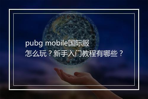 pubg mobile国际服怎么玩？新手入门教程有哪些？