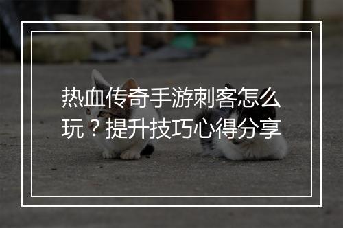热血传奇手游刺客怎么玩？提升技巧心得分享