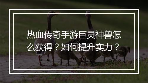 热血传奇手游巨灵神兽怎么获得？如何提升实力？