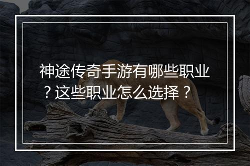 神途传奇手游有哪些职业？这些职业怎么选择？