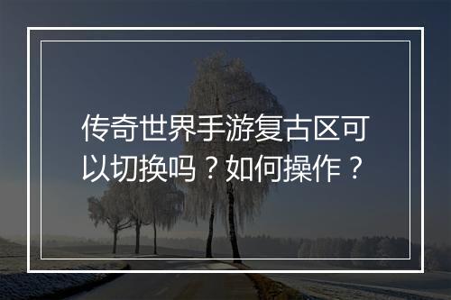 传奇世界手游复古区可以切换吗？如何操作？