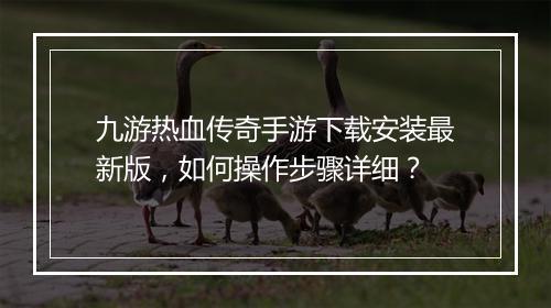 九游热血传奇手游下载安装最新版，如何操作步骤详细？