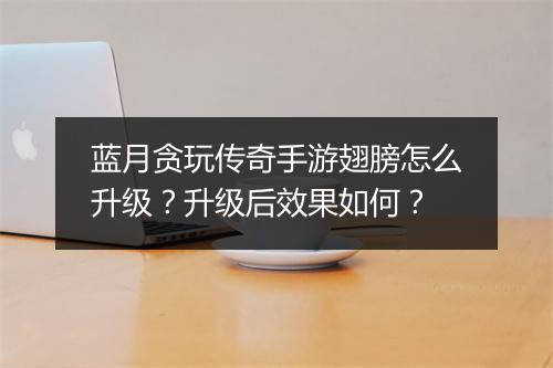 蓝月贪玩传奇手游翅膀怎么升级？升级后效果如何？