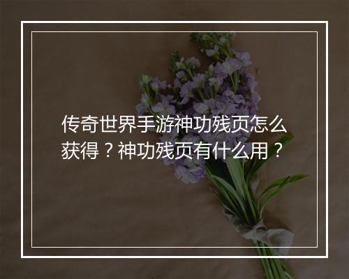 传奇世界手游神功残页怎么获得？神功残页有什么用？