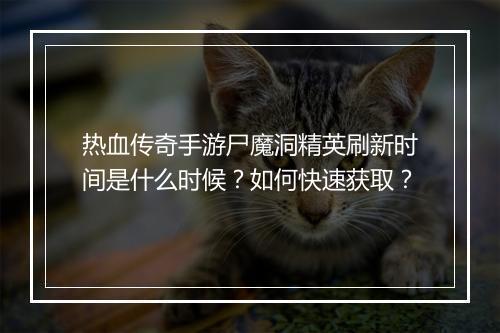 热血传奇手游尸魔洞精英刷新时间是什么时候？如何快速获取？