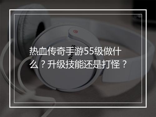 热血传奇手游55级做什么？升级技能还是打怪？