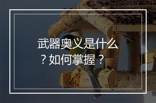 武器奥义是什么？如何掌握？