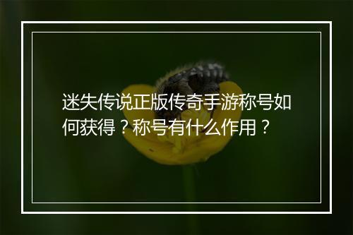 迷失传说正版传奇手游称号如何获得？称号有什么作用？