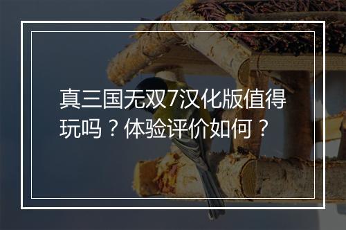 真三国无双7汉化版值得玩吗？体验评价如何？