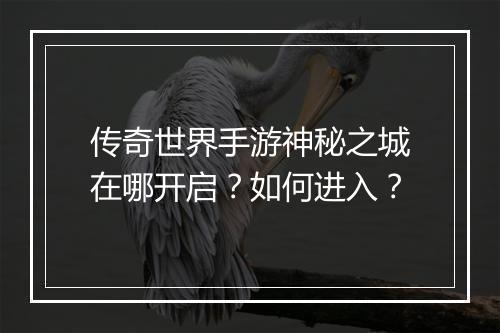 传奇世界手游神秘之城在哪开启？如何进入？