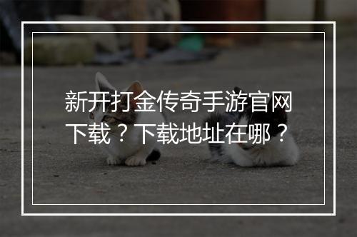 新开打金传奇手游官网下载？下载地址在哪？