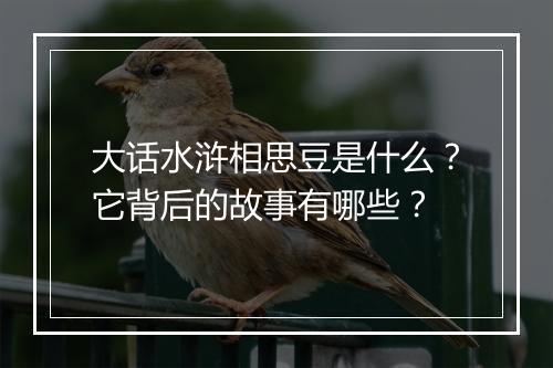 大话水浒相思豆是什么？它背后的故事有哪些？