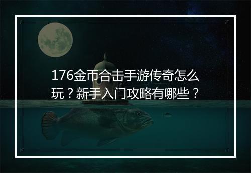 176金币合击手游传奇怎么玩？新手入门攻略有哪些？