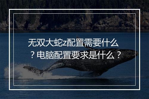 无双大蛇z配置需要什么？电脑配置要求是什么？
