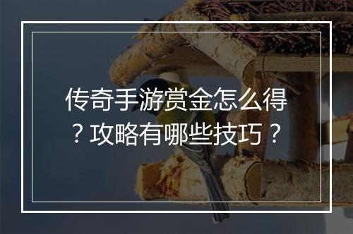 传奇手游赏金怎么得？攻略有哪些技巧？