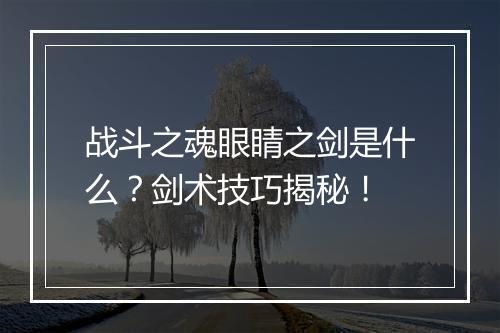 战斗之魂眼睛之剑是什么？剑术技巧揭秘！