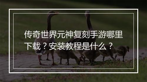 传奇世界元神复刻手游哪里下载？安装教程是什么？