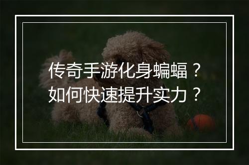 传奇手游化身蝙蝠？如何快速提升实力？