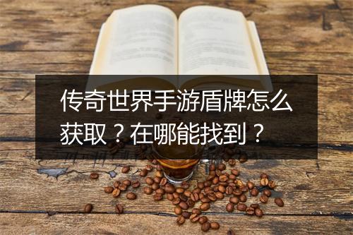 传奇世界手游盾牌怎么获取？在哪能找到？