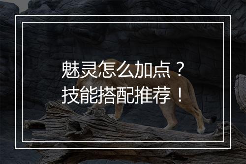 魅灵怎么加点？技能搭配推荐！