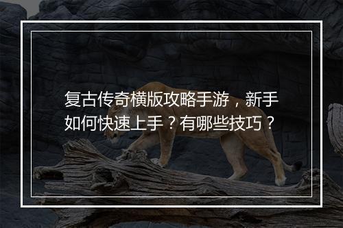 复古传奇横版攻略手游，新手如何快速上手？有哪些技巧？