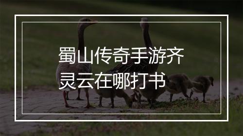 蜀山传奇手游齐灵云在哪打书