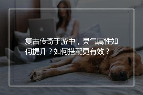 复古传奇手游中，灵气属性如何提升？如何搭配更有效？