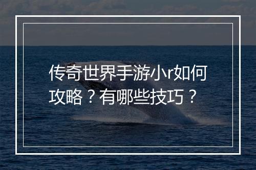 传奇世界手游小r如何攻略？有哪些技巧？