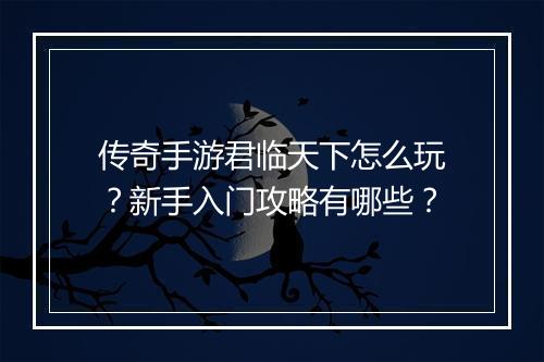 传奇手游君临天下怎么玩？新手入门攻略有哪些？
