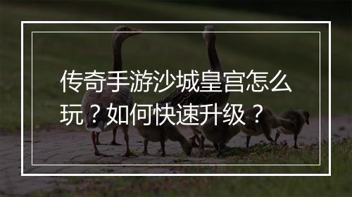 传奇手游沙城皇宫怎么玩？如何快速升级？
